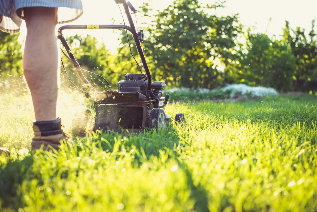 Evergreen Landscaping crew member mowing a healthy green lawn at golden hour